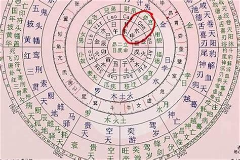 日柱 將星|八字神煞解析——將星